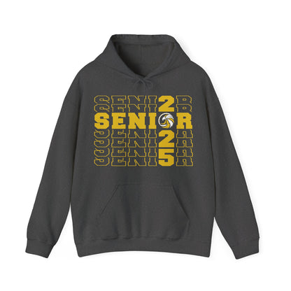 Seniors Cross Stacked c/o 2025 - Gildan Unisex Heavy Blend™ Hooded Sweatshirt