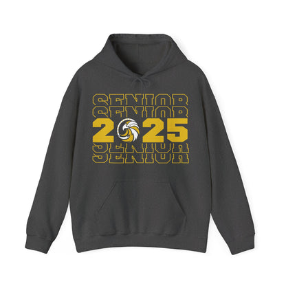 Senior Stacked c/o 2025 - Gildan Unisex Heavy Blend™ Hooded Sweatshirt