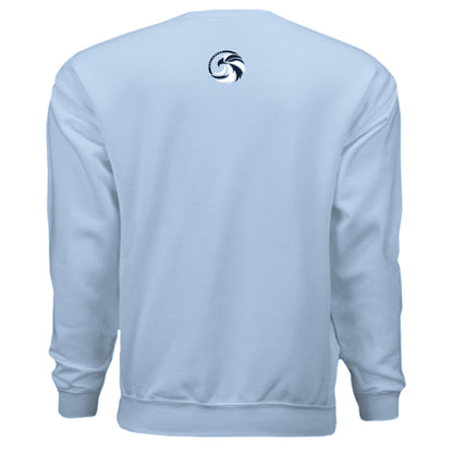 LIGHT BLUE - BACK